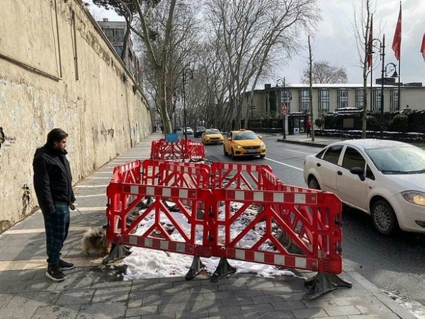 Çevre dernekleri İBB'nin çınar katliamına sessiz kaldı!