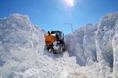 Mus'ta 5 Metrelik Karda Yol Açma Çalismasi