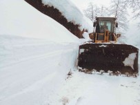 Dogu Karadeniz'de Kis