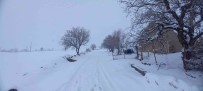 Tunceli'de 250 Köy Yolu Ulasima Kapandi Haberi