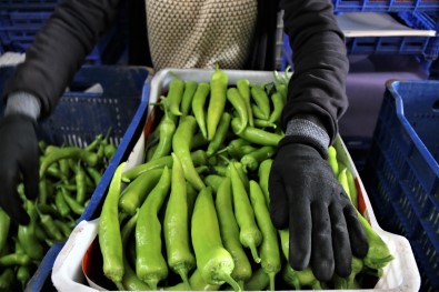 ATB'den Subat Ayi Sebze Ve Meyve Endeksi Açiklamasi