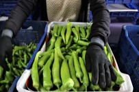 ATB'den Subat Ayi Sebze Ve Meyve Endeksi Açiklamasi