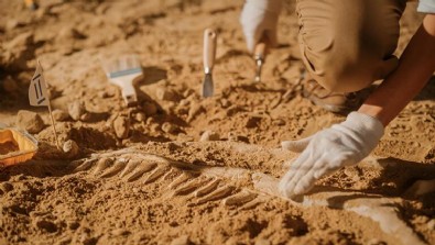 Daha önce hiç görülmedi! 15 yaşında, boyu 18 metre, 'üşüterek' öldü