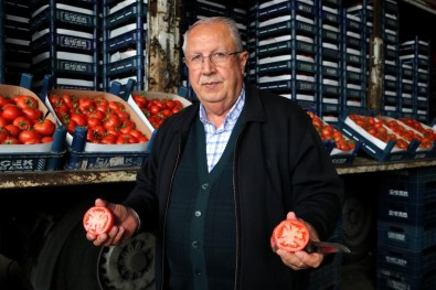 Rusya-Ukrayna Savasi Domatesi Vurdu Açiklamasi Kilosu 25 Liradan 4 Liraya Düstü