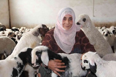 Şehirden sıkıldı köye yerleşti: Aldığı hibe ile paraya para demiyor