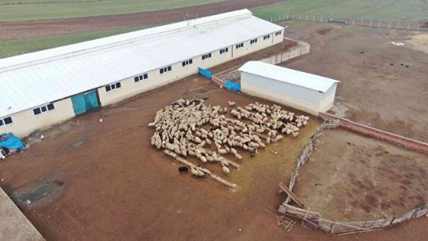 Şehirden sıkıldı köye yerleşti: Aldığı hibe ile paraya para demiyor