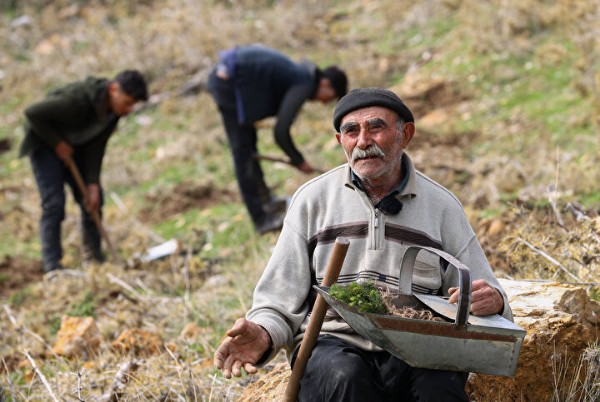'Fidan dede' 35 yılda 550 bine yakın fidanı toprakla buluşturdu