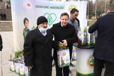 Afyonkarahisar'da 5 Bin Fidan Dagitildi