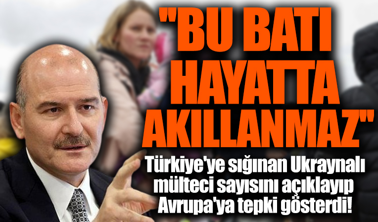 Bakan Soylu Türkiye'ye sığınan Ukraynalı mülteci sayısını duyurdu: Bu Batı hayatta akıllanmaz
