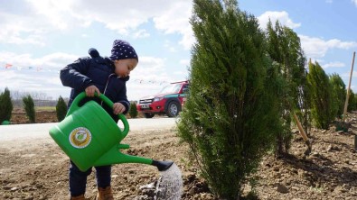 Edirne'de Bu Yil Hedef Açiklamasi 2 Buçuk Milyon Fidan