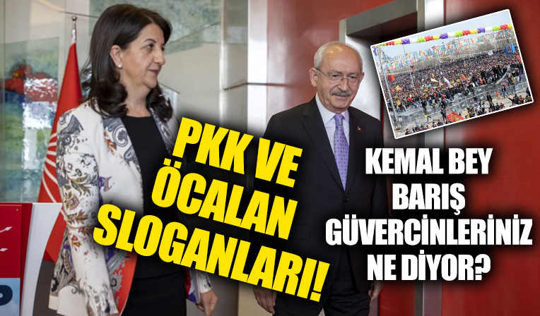 HDP öncülüğünde düzenlenen nevruz etkinliğinde PKK lehine sloganlar attılar!