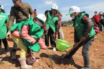 Izmir'de 6 Bin 35 Adet Fidan Toprakla Bulustu
