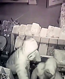 Kasla Göz Arasinda 17 Bin TL Nakit Ve 50 Bin TL Degerinde Sigara Çaldilar