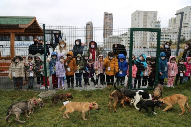 Küçükçekmece'de Can Dostlar Için Gelen 65 Bin Talep Degerlendirildi