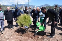 Kumluca'da 250 15 Temmuz Sehidi Anisina 250 Fidan Dikildi