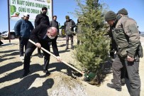 Manisa'da 7 Bin Fidan Toprakla Bulustu