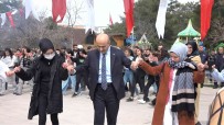Mardin Valisi Demirtas, Nevruz'da Vatandaslarla Halay Çekti Haberi