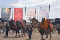 Menemen Folklorik Deve Gösterisinde Renkli Sahneler