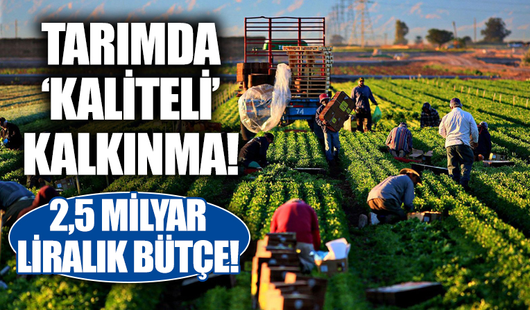 Tarım ve Orman Bakanlığı'ndan  Kırsalda Dönüşüm Hamlesi! İki buçuk milyar liralık bütçe oluşturuldu!