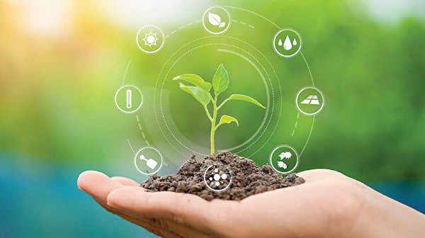 Tarım ve Orman Bakanlığı'ndan Kırsalda Dönüşüm Hamlesi! İki buçuk milyar liralık bütçe oluşturuldu!