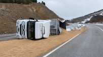 Kontrolden Çikan Tir Devrildi, 25 Ton Bugday Yola Saçildi