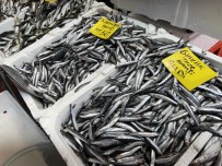 Balik Tezgahlarinda Çesit Çok, Balik Az