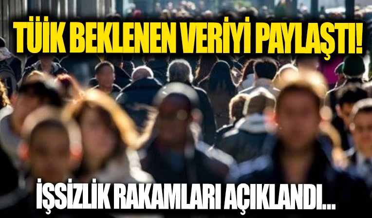 İşsizlik oranı 2021'de yüzde 12 seviyesinde gerçekleşti