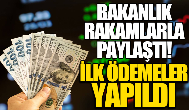 Kur korumalı TL mevduat için ilk ödemeler yapıldı