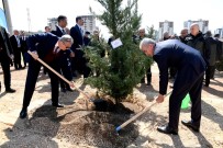 Mersin'de Fidanlar Toprakla Bulustu