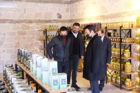 Mut'tan Hollanda'ya Zeytin Ve Yöresel Ürün Ihracati