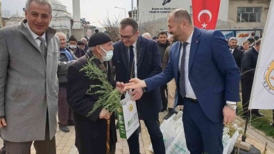 Orhaneli'de Vatandaslara 7 Bin 600 Adet Fidan Ücretsiz Dagitildi