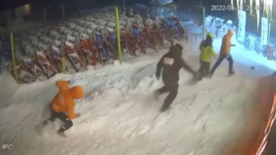 Ayi Ile Böyle Göz Göze Geldiler