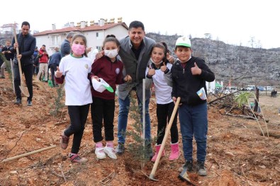 Güzelbag Yangin Bölgesinde 3 Bin 800 Fidan Toprakla Bulustu