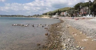 İzmir Dikili'de, deniz suyu çekilmesi 50 metreyi buldu