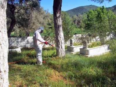 Mezarliklarda Ramazan Temizligi
