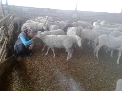 Yolu Kapatilan Besici Kadin Açlik Grevine Basladi