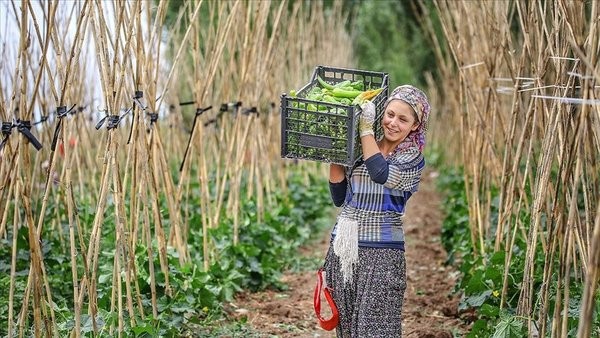 Tarımda gelir garantili alım sistemi! Başkan Erdoğan talimatı verdi!