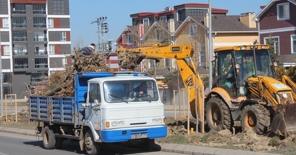 CHP'li belediyeler pes dedirtti! İBB'den sonra Tekirdağ belediyesinden ağaç katliamı!