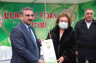 Elazig'da Üreticilere 6 Bin 500 Dut Fidani Dagitildi