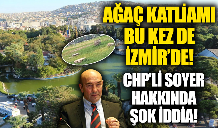 İstanbul'dan sonra İzmir'de ağaç katliamı! CHP'li belediye Kültürpark'ın sembollerini kesti!