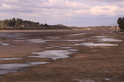İzmir'de şaşırtan görüntü: Deniz çekilmesi 50 metreyi buldu