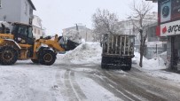Karliova'da Kar, Kamyonlarla Tasinmaya Devam Ediyor Haberi