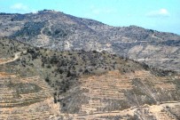 Yanginda Küle Dönen Tirazli'da 'Yesil Mutluluk'