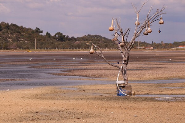 İzmir'de şaşırtan görüntü: Deniz çekilmesi 50 metreyi buldu