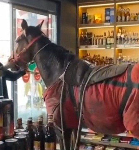 Çaldığı atla alışverişe gitti! 'Lamborghini verseler...'