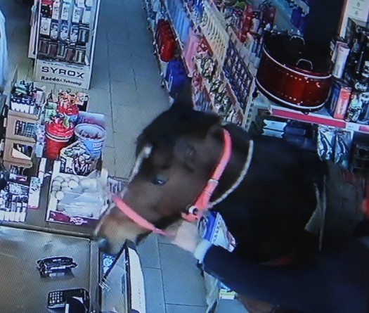 Çaldığı atla alışverişe gitti! 'Lamborghini verseler...'