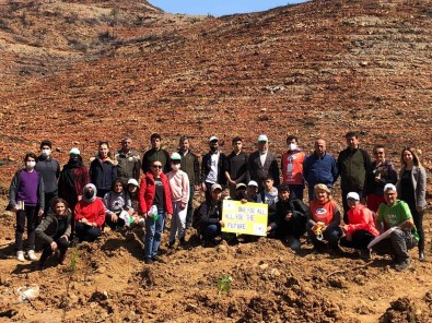 Anadolu Imam Hatip Lisesi Ögrencileri Fidan Dikti