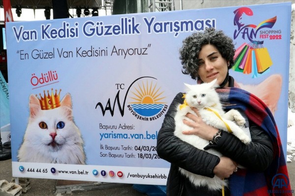 Van’ın en güzel kedisi seçildi!