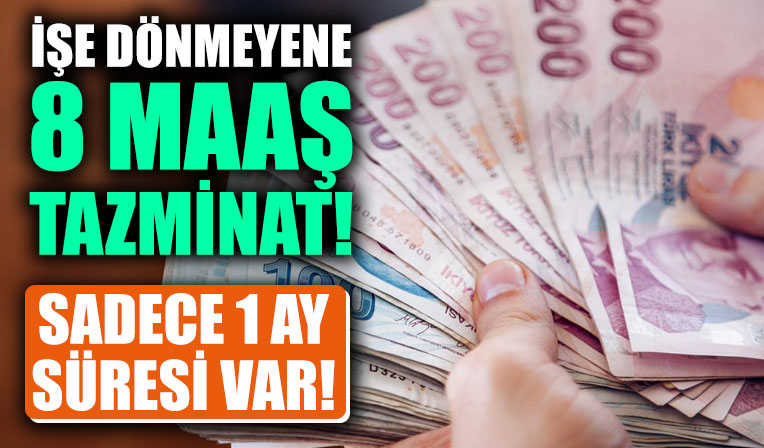 İşçi ve işverenler dikkat! İşe dönemeyene 8 maaş tazminat: Sadece 1 ay süresi var!
