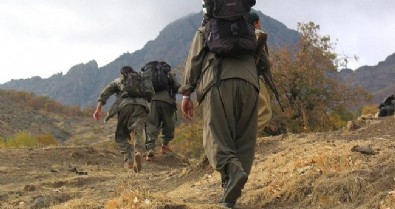 ABD terörist sevdasından vazgeçmiyor: YPG/PKK’nın faydalandığı eğit-donat fonuna 542 milyon dolar!